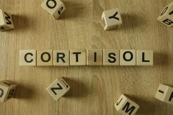 The Hidden Connection: How Stress Shapes Your Fitness and Body Composition 2 Image saying "Cortisol" and how stress West Drayton impacts your wellbeing and bodies shape